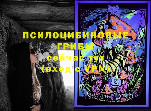 хмурый Зеленокумск