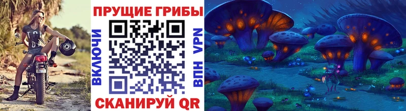 hydra ССЫЛКА  Кадников  Псилоцибиновые грибы ЛСД 